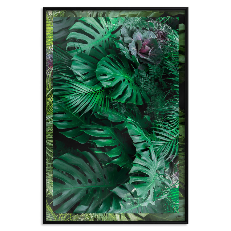 Poster Dense Jungle - plant composition of tropical greenish jungle 134506 additionalImage 18