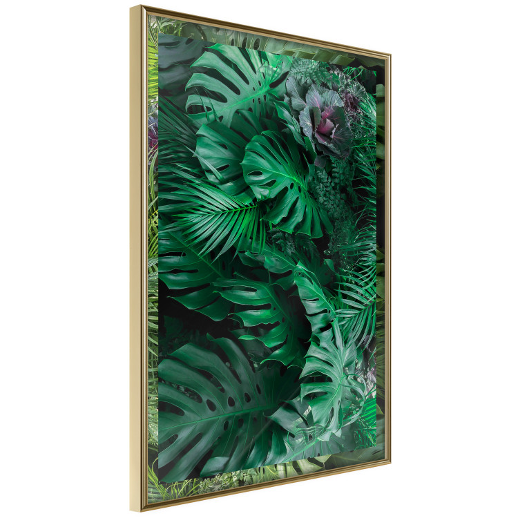 Poster Dense Jungle - plant composition of tropical greenish jungle 134506 additionalImage 12