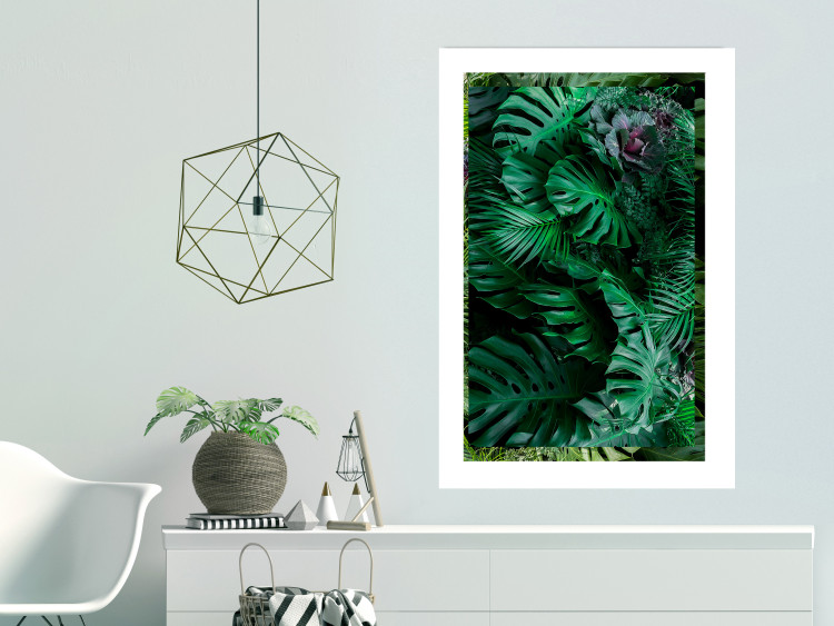 Poster Dense Jungle - plant composition of tropical greenish jungle 134506 additionalImage 3