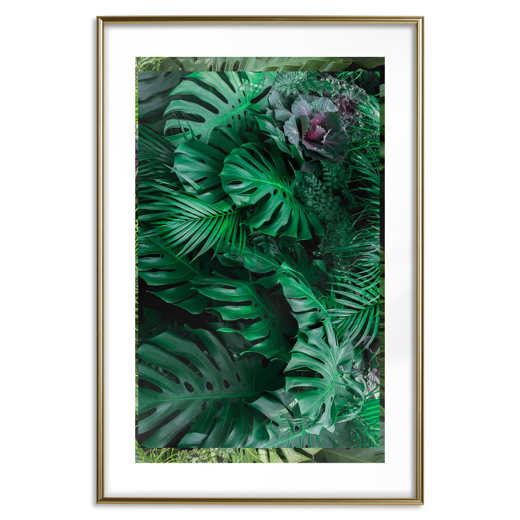 Poster Dense Jungle - plant composition of tropical greenish jungle 134506 additionalImage 16