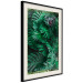 Poster Dense Jungle - plant composition of tropical greenish jungle 134506 additionalThumb 2