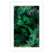 Poster Dense Jungle - plant composition of tropical greenish jungle 134506 additionalThumb 19