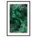 Poster Dense Jungle - plant composition of tropical greenish jungle 134506 additionalThumb 17