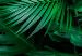 Poster Dense Jungle - plant composition of tropical greenish jungle 134506 additionalThumb 10