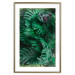Poster Dense Jungle - plant composition of tropical greenish jungle 134506 additionalThumb 14