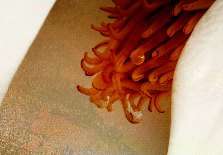 Large canvas print Magnolia Sonata [Large Format] 136406 additionalImage 6