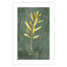 Poster Original Plant - Fragment of an Olive Tree on a Marble Background 148906 additionalThumb 16