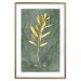 Poster Original Plant - Fragment of an Olive Tree on a Marble Background 148906 additionalThumb 19