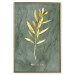 Poster Original Plant - Fragment of an Olive Tree on a Marble Background 148906 additionalThumb 18