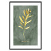 Poster Original Plant - Fragment of an Olive Tree on a Marble Background 148906 additionalThumb 20