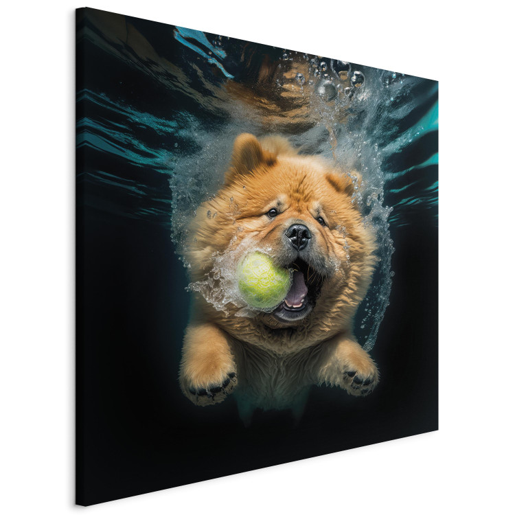 Canvas Print AI Dog Chow Chow - Floating Animal With a Ball in Its Mouth - Square 150206 additionalImage 2