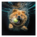 Canvas Print AI Dog Chow Chow - Floating Animal With a Ball in Its Mouth - Square 150206