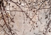 Print On Glass Twigs Against the Dawn - Delicate Trees With Brown Flowers [Glass] 151506 additionalThumb 4