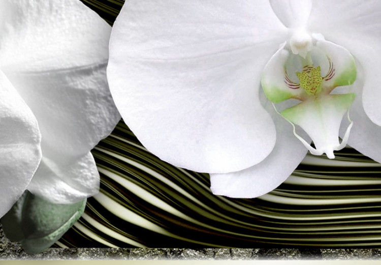 Canvas Print The dream of white orchids 55506 additionalImage 4