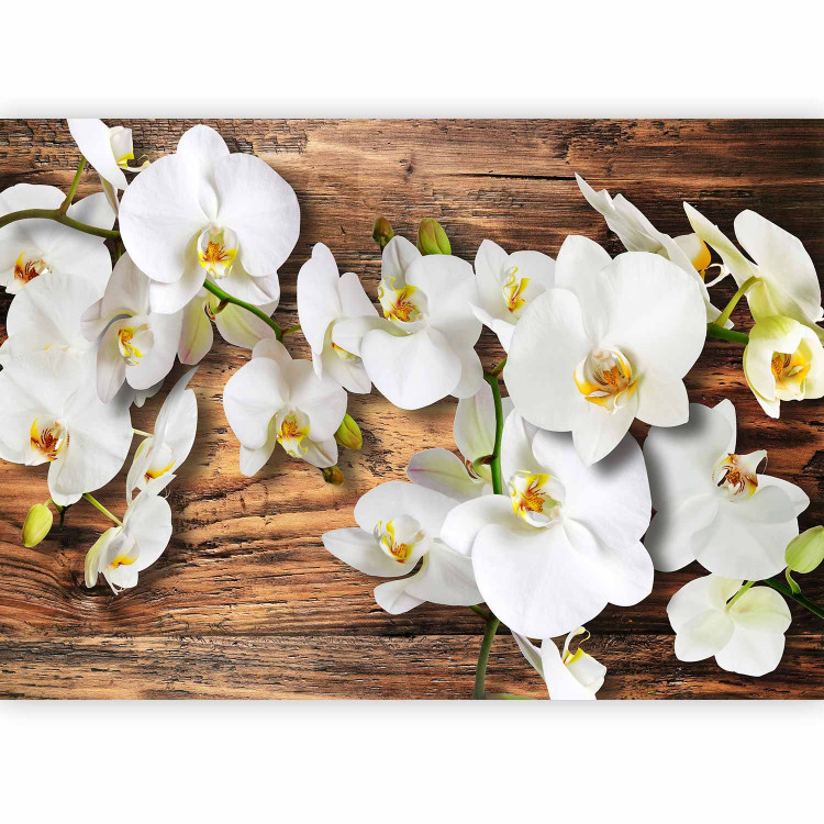 Photo Wallpaper Forest Orchid - Natural White Flowers on a Background of Old Dark Wood 60306 additionalImage 5