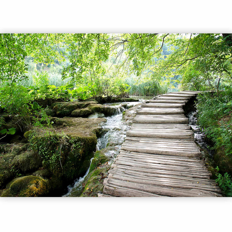 Photo Wallpaper Forest path 60506 additionalImage 1