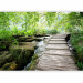Photo Wallpaper Forest path 60506 additionalThumb 1