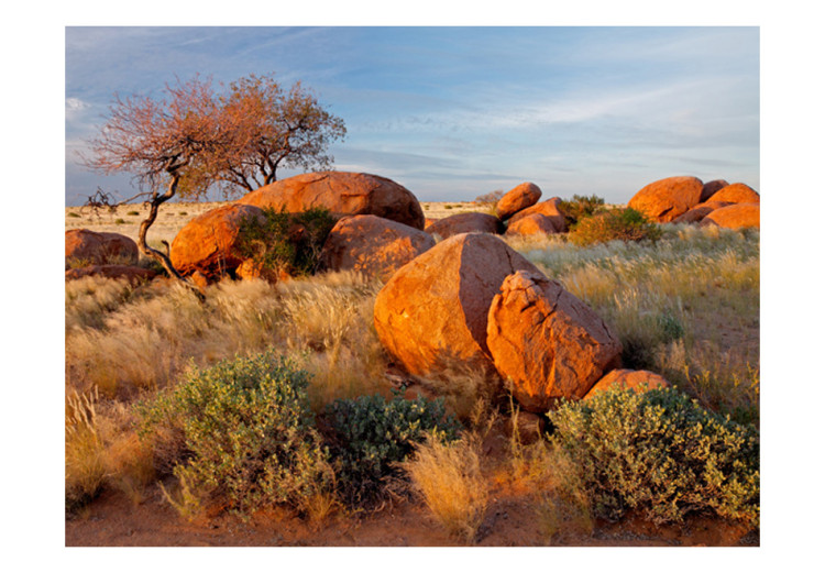 Photo Wallpaper African Landscape in Namibia - African savannah nature with rocks 61406 additionalImage 1