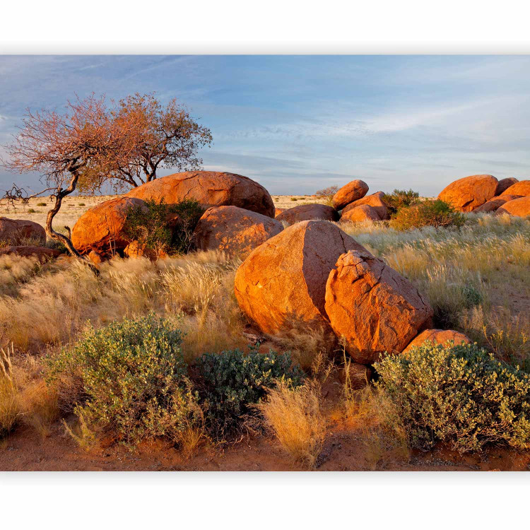 Photo Wallpaper African Landscape in Namibia - African savannah nature with rocks 61406 additionalImage 1