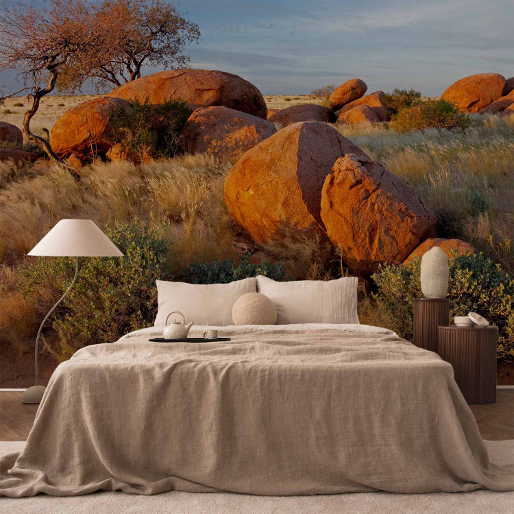 Photo Wallpaper African Landscape in Namibia - African savannah nature with rocks 61406 additionalImage 2
