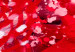Canvas Print Crimson Flowers 90006 additionalThumb 4