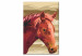 Paint by number Brown Horse 107516 additionalThumb 6