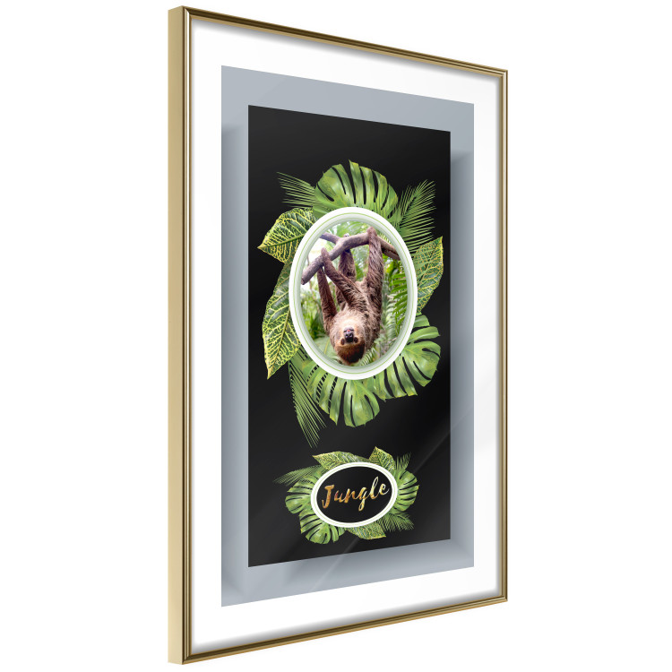 Poster Sloth - brown mammal and tropical green leaves on a black background 116316 additionalImage 5