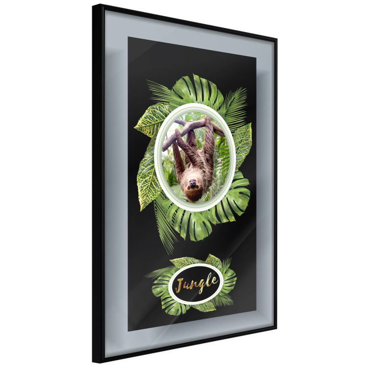 Poster Sloth - brown mammal and tropical green leaves on a black background 116316 additionalImage 9