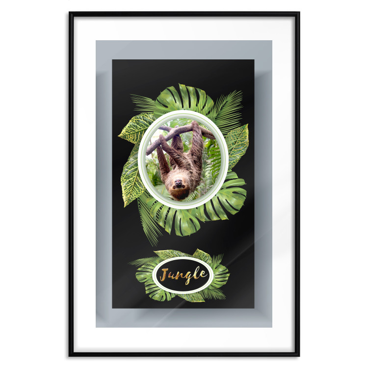Poster Sloth - brown mammal and tropical green leaves on a black background 116316 additionalImage 15