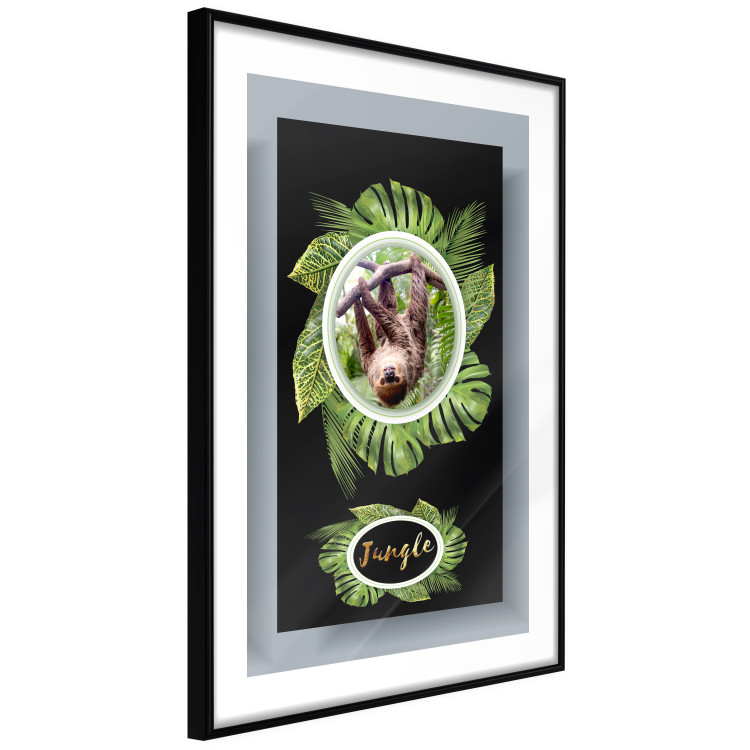 Poster Sloth - brown mammal and tropical green leaves on a black background 116316 additionalImage 4