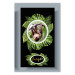 Poster Sloth - brown mammal and tropical green leaves on a black background 116316