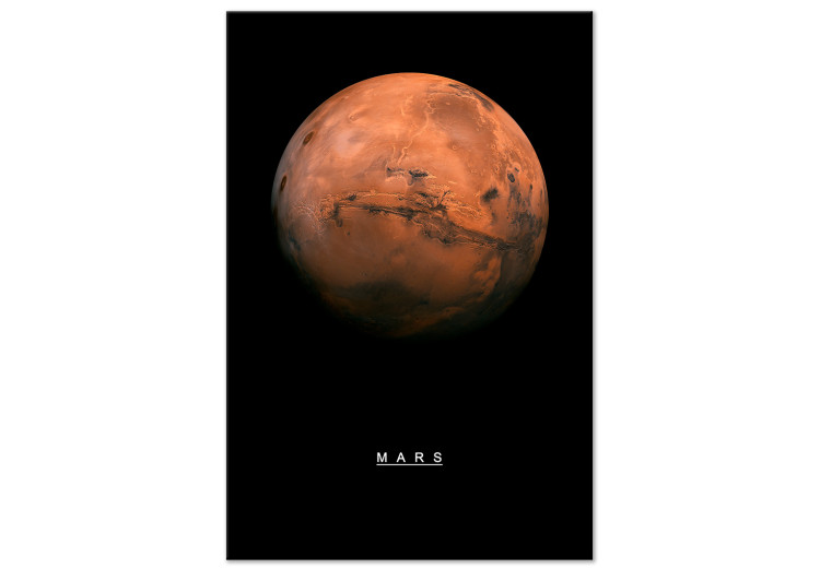Canvas Art Print Mars (1 Part) Vertical 116716