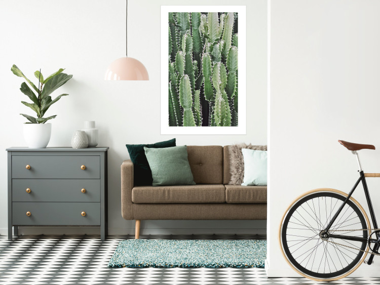 Wall Poster Cactus Garden - composition with prickly plants in green colors 117116 additionalImage 4