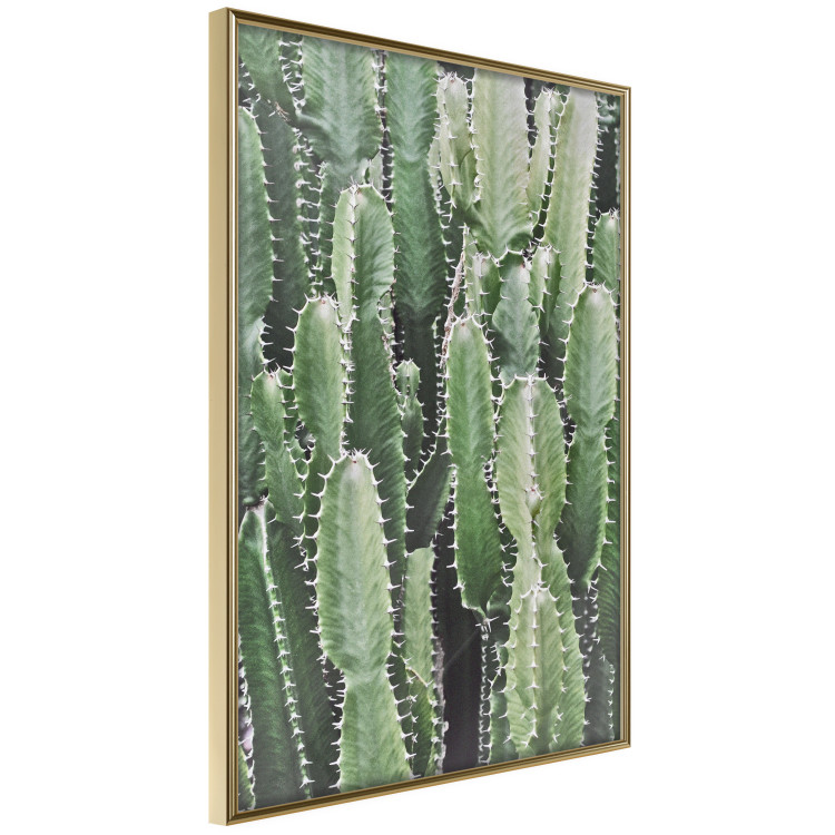 Wall Poster Cactus Garden - composition with prickly plants in green colors 117116 additionalImage 14