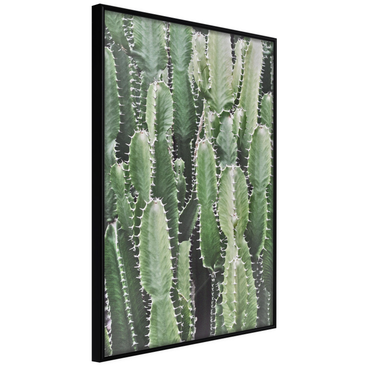 Wall gallery set Soothing nature 129680 additionalImage 4
