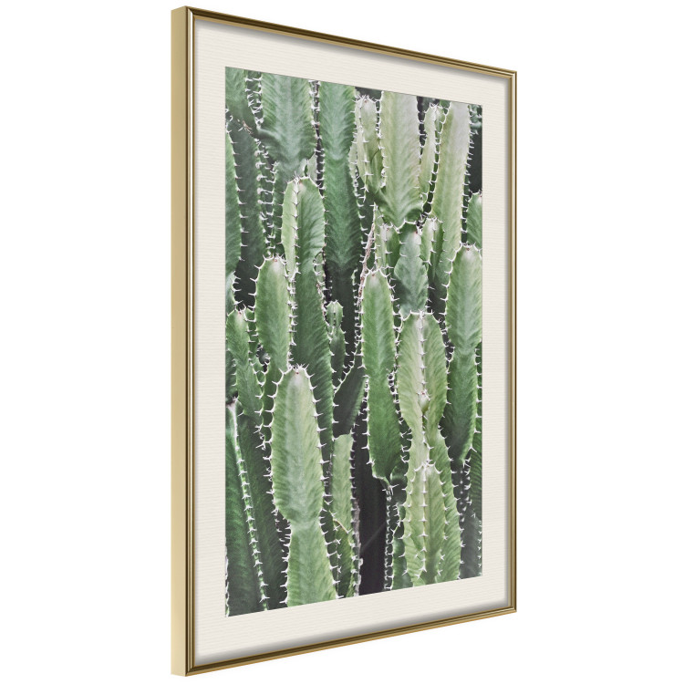 Wall Poster Cactus Garden - composition with prickly plants in green colors 117116 additionalImage 2