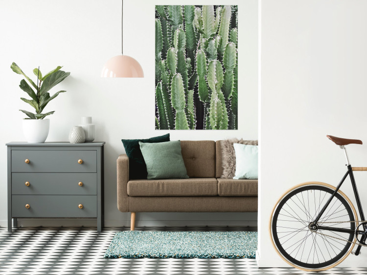 Wall Poster Cactus Garden - composition with prickly plants in green colors 117116 additionalImage 17