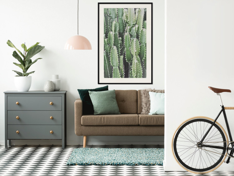 Wall Poster Cactus Garden - composition with prickly plants in green colors 117116 additionalImage 22