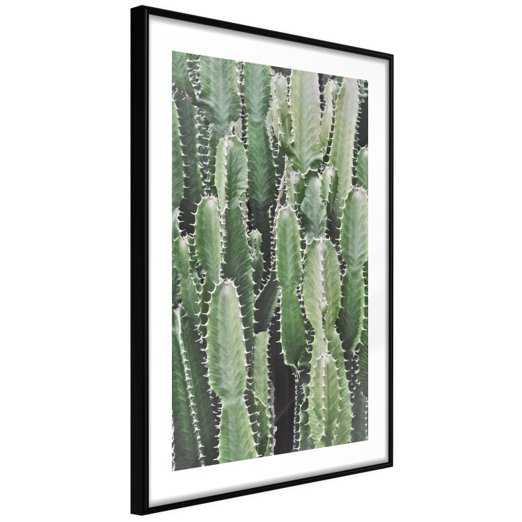 Wall Poster Cactus Garden - composition with prickly plants in green colors 117116 additionalImage 11