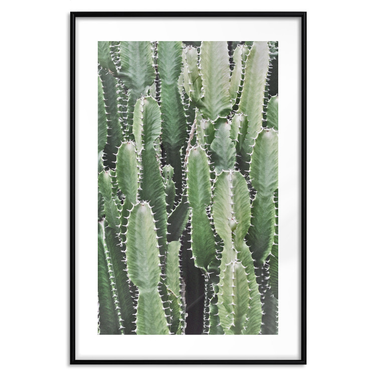 Wall Poster Cactus Garden - composition with prickly plants in green colors 117116 additionalImage 17