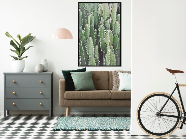 Wall Poster Cactus Garden - composition with prickly plants in green colors 117116 additionalImage 3