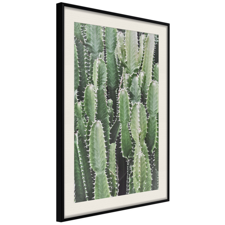 Wall Poster Cactus Garden - composition with prickly plants in green colors 117116 additionalImage 3