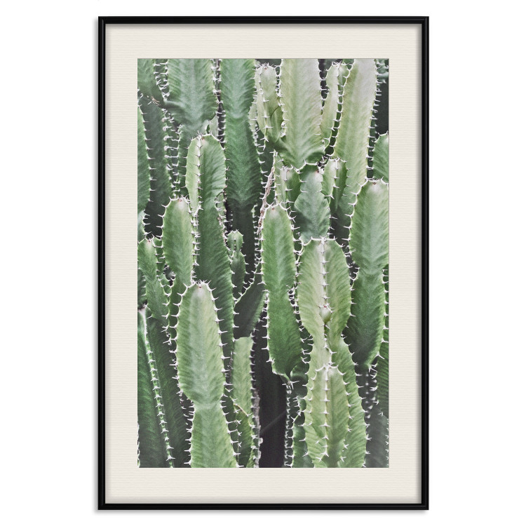 Wall Poster Cactus Garden - composition with prickly plants in green colors 117116 additionalImage 18