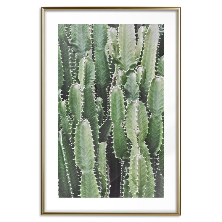 Wall Poster Cactus Garden - composition with prickly plants in green colors 117116 additionalImage 14