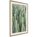 Wall Poster Cactus Garden - composition with prickly plants in green colors 117116 additionalThumb 2