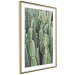 Wall Poster Cactus Garden - composition with prickly plants in green colors 117116 additionalThumb 8