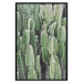 Wall Poster Cactus Garden - composition with prickly plants in green colors 117116 additionalThumb 18