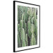Wall Poster Cactus Garden - composition with prickly plants in green colors 117116 additionalThumb 13