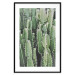 Wall Poster Cactus Garden - composition with prickly plants in green colors 117116 additionalThumb 15