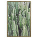 Wall Poster Cactus Garden - composition with prickly plants in green colors 117116 additionalThumb 20